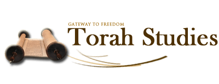 Torah_teaching